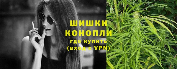 дживик Балахна