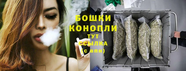 ГАЛЛЮЦИНОГЕННЫЕ ГРИБЫ Балабаново